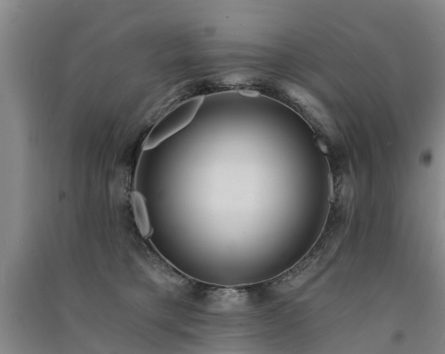 X0000091560421200708171329