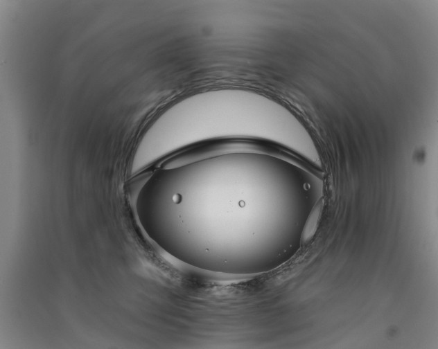 X0000091560423200708171329