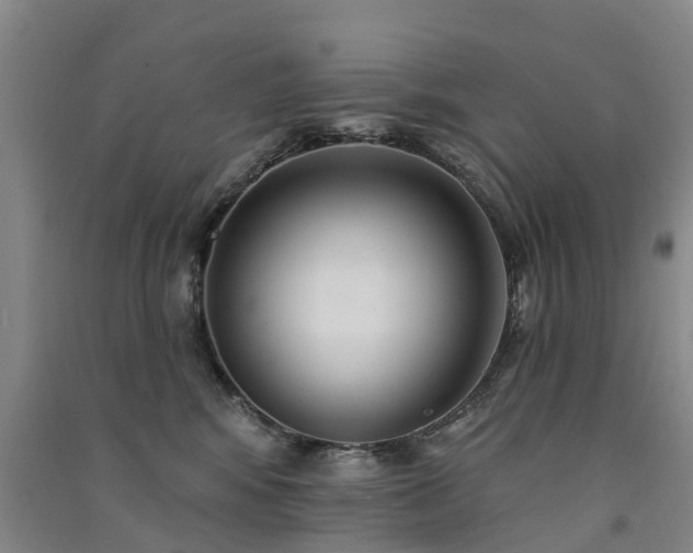 X0000091560424200708171329