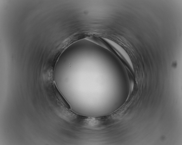 X0000091560425200708171329