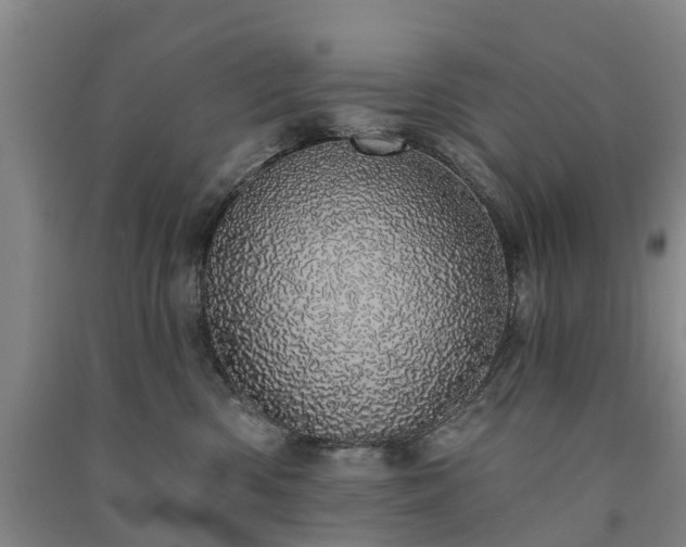 X0000091560426200708171329