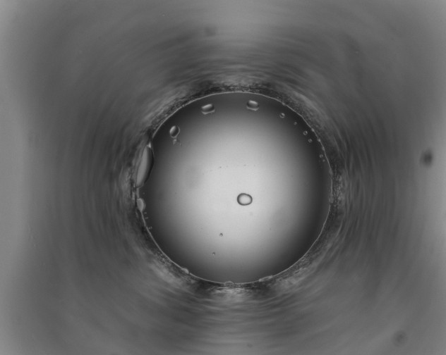 X0000091560428200708171329