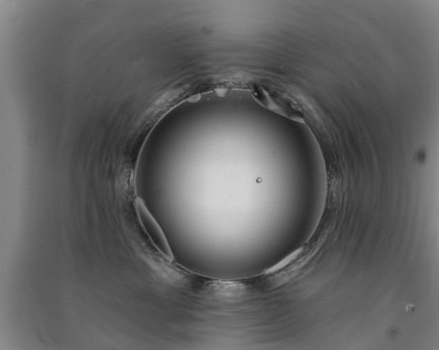 X0000091560429200708171329