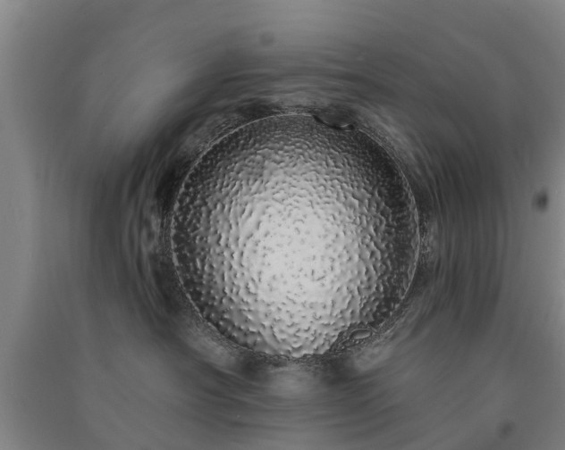 X0000091560430200708171329