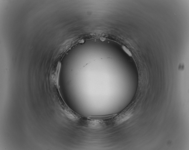 X0000091560432200708171329