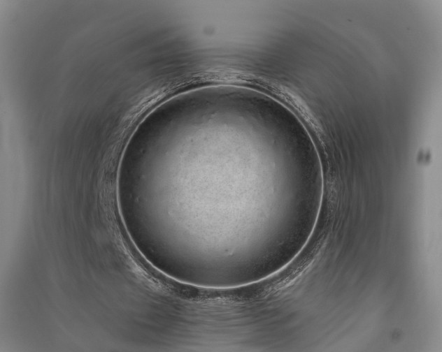 X0000091560433200708171329