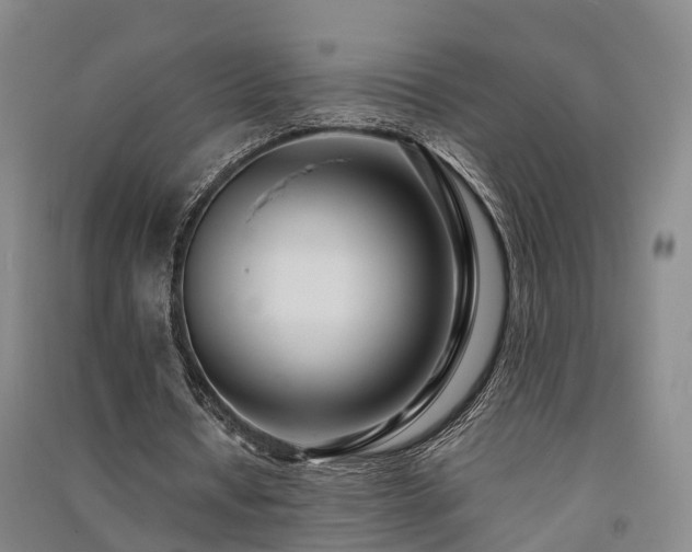 X0000091560434200708171329