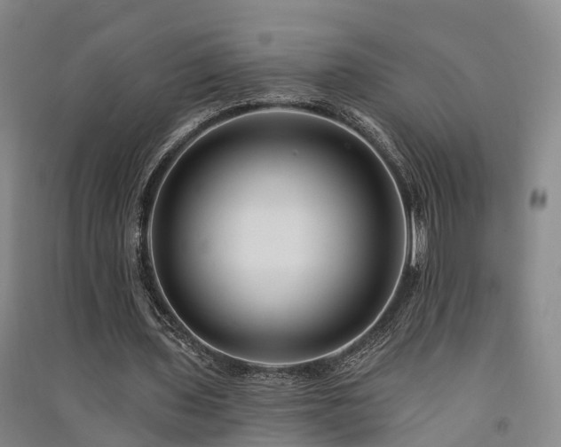 X0000091560435200708171329