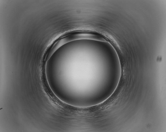 X0000091560436200708171329