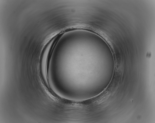 X0000091560437200708171329