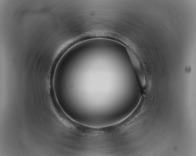 X0000091560438200708171329