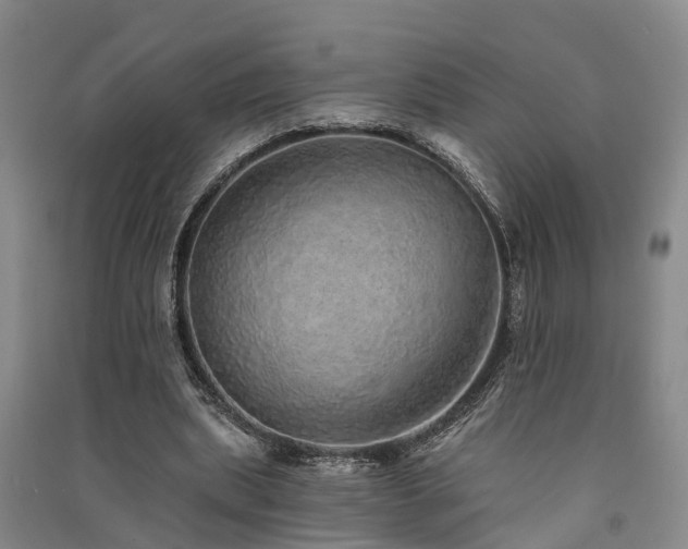 X0000091560439200708171329