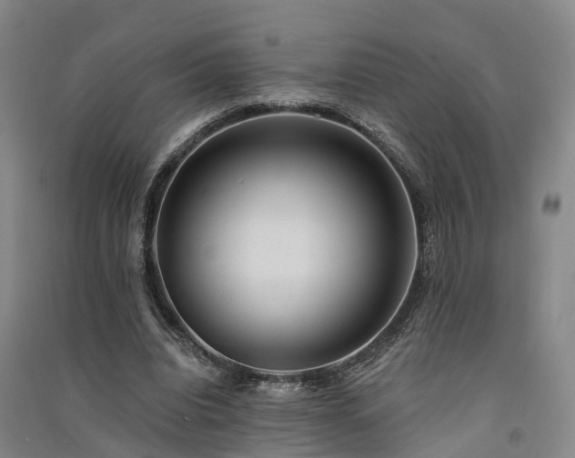 X0000091560440200708171329