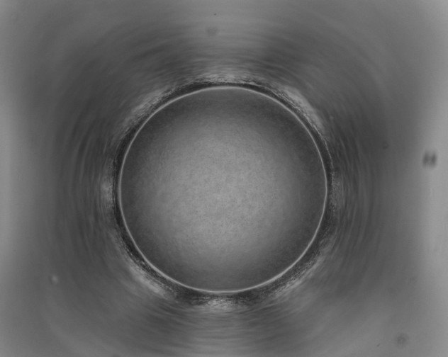 X0000091560441200708171329