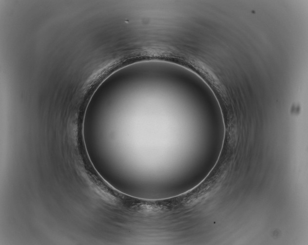 X0000091560442200708171329