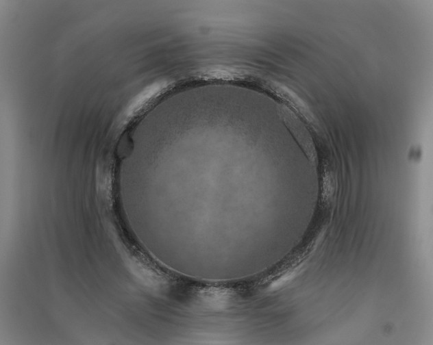 X0000091560444200708171329