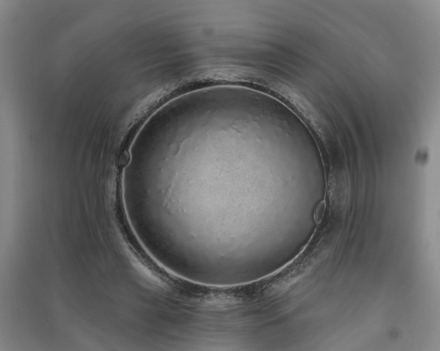 X0000091560445200708171329