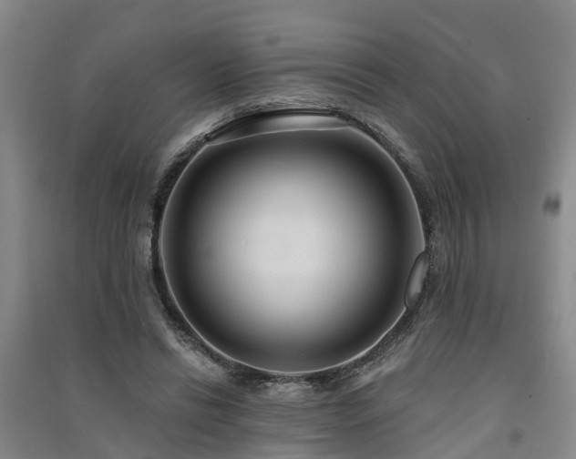 X0000091560446200708171329