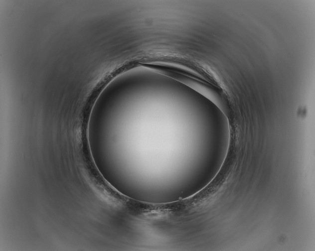 X0000091560447200708171329