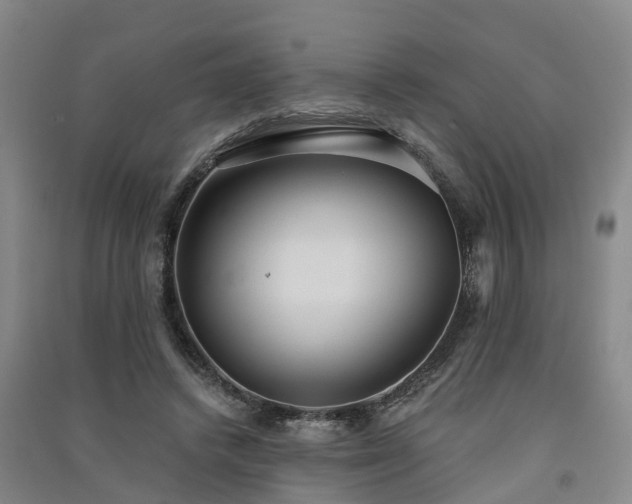 X0000091560448200708171329