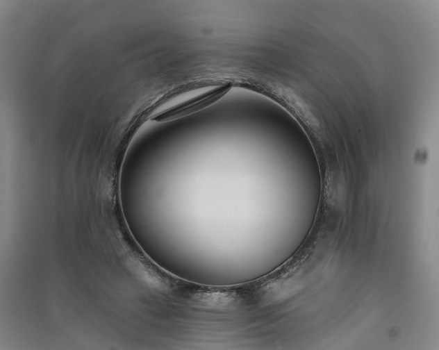 X0000091560449200708171329