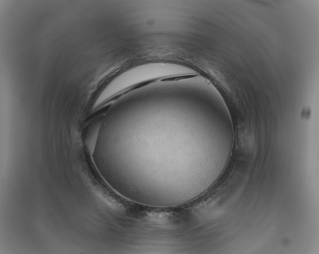 X0000091560450200708171329