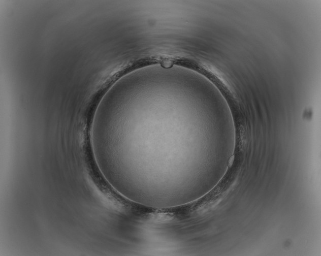 X0000091560451200708171329