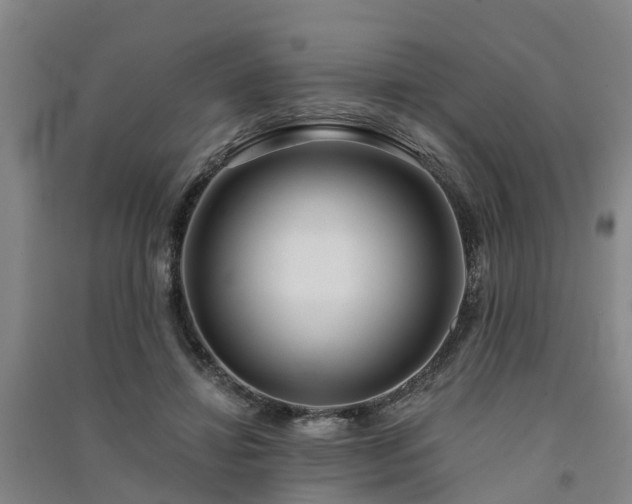 X0000091560452200708171329