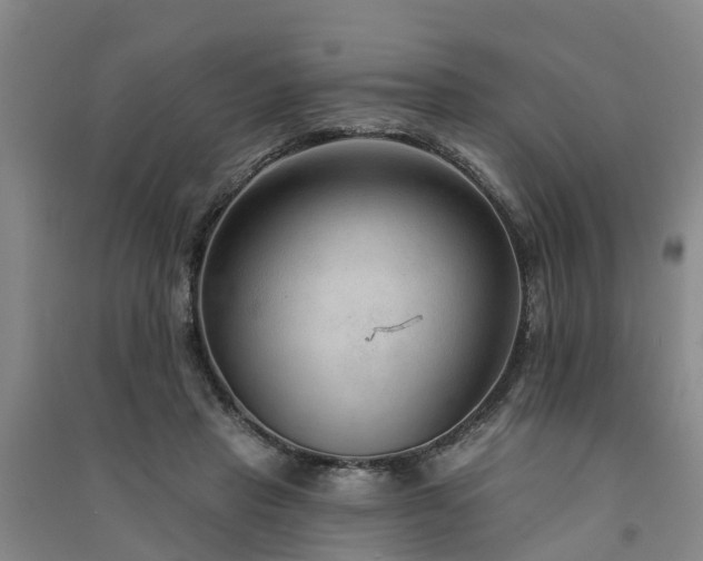 X0000091560453200708171329