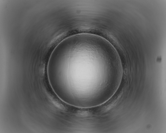 X0000091560454200708171329