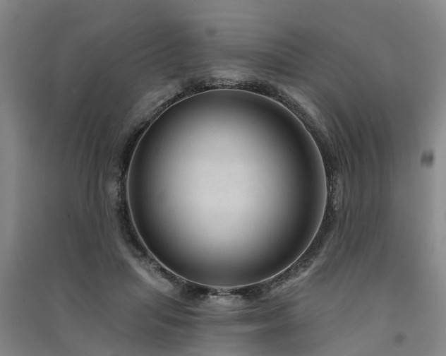 X0000091560455200708171329