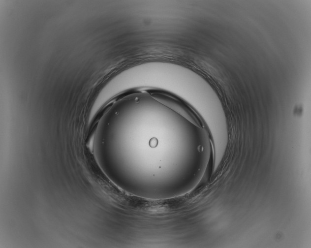 X0000091560456200708171329