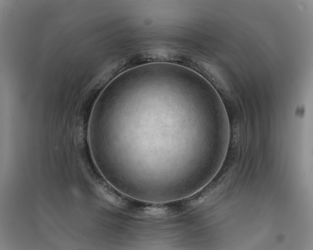 X0000091560457200708171329