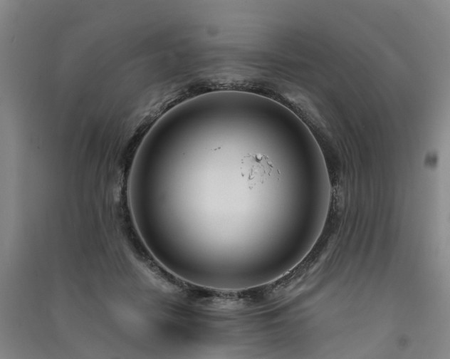 X0000091560458200708171329