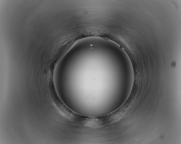 X0000091560459200708171329