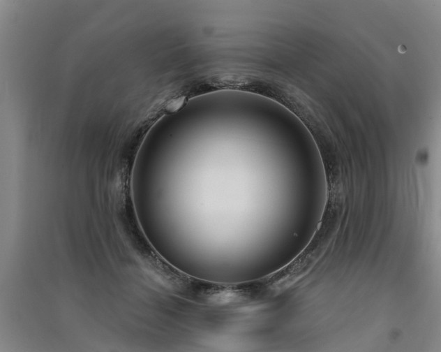 X0000091560460200708171329