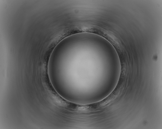 X0000091560461200708171329