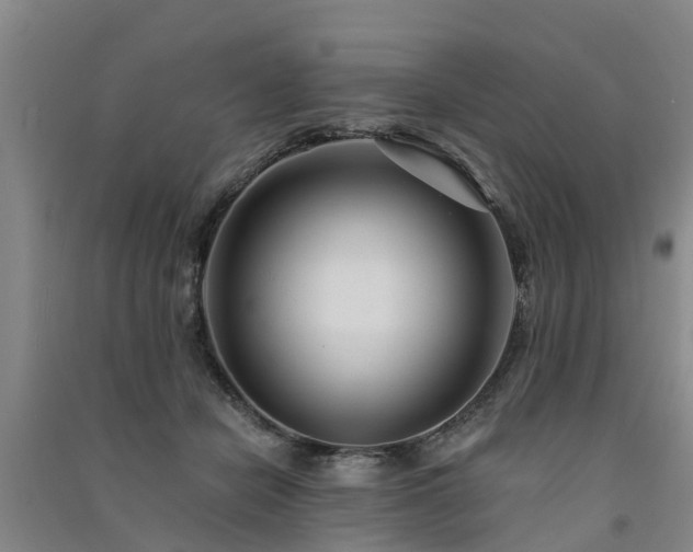 X0000091560462200708171329