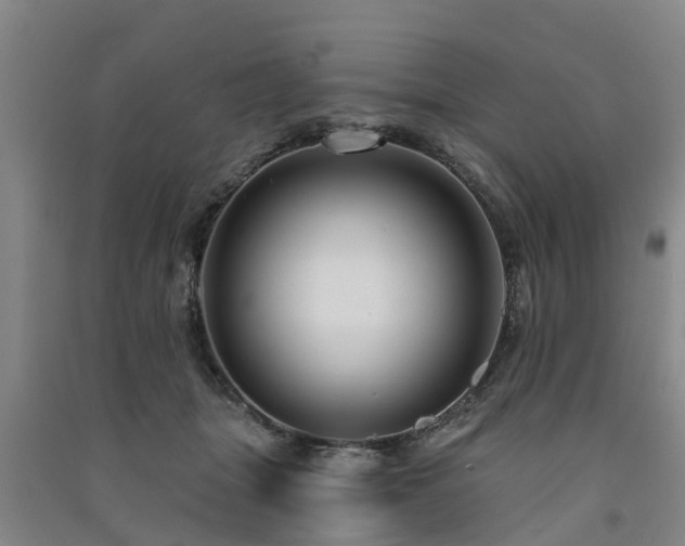 X0000091560463200708171329