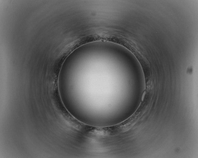 X0000091560464200708171329