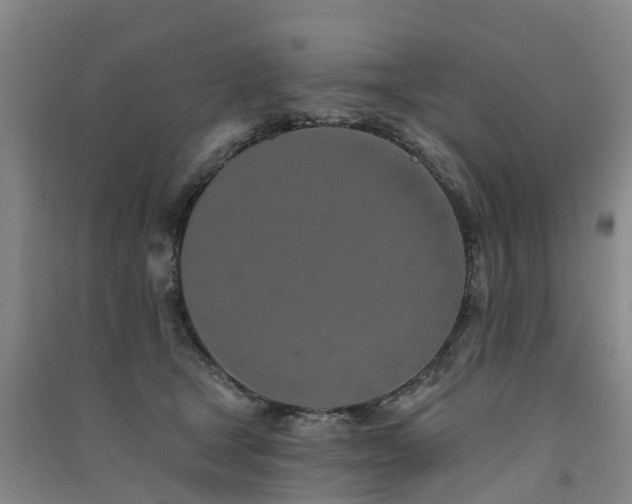 X0000091560465200708171329