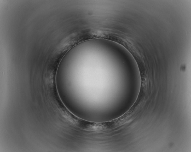 X0000091560466200708171329