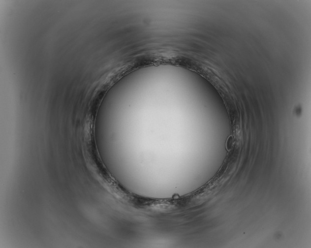 X0000091560468200708171329