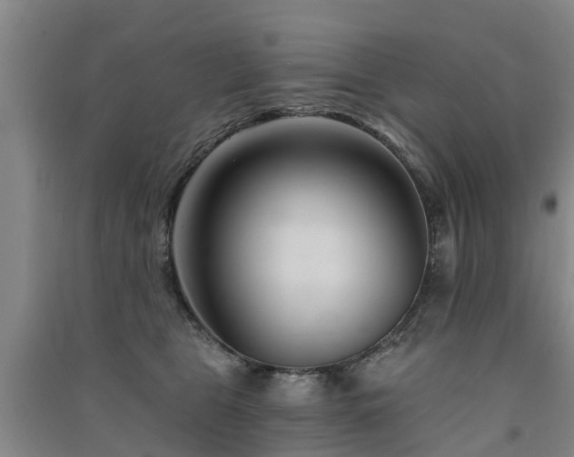 X0000091560469200708171329