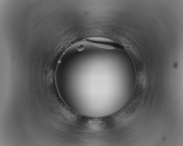 X0000091560470200708171329