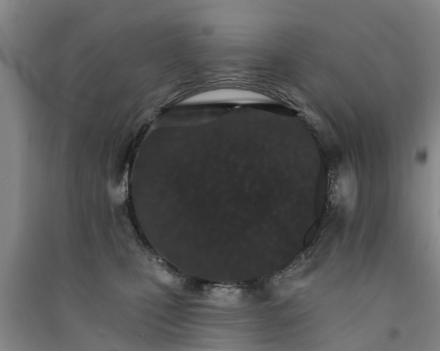 X0000091560471200708171329