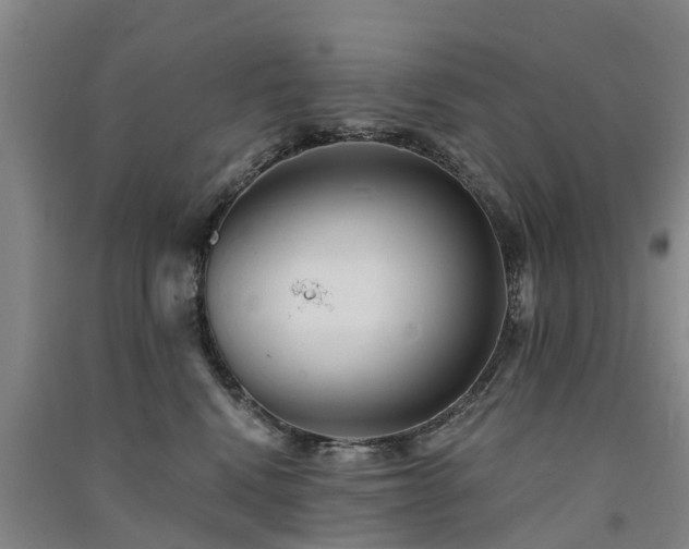 X0000091560472200708171329