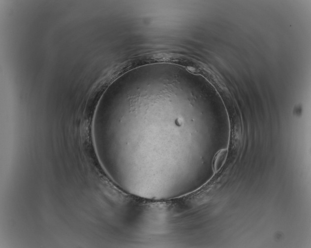 X0000091560473200708171329