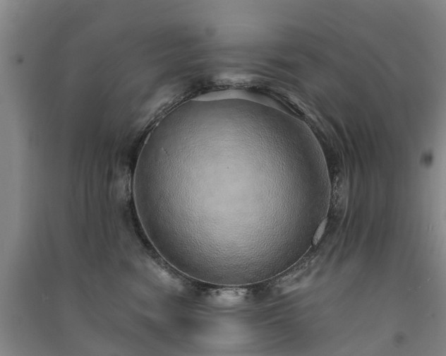 X0000091560474200708171329