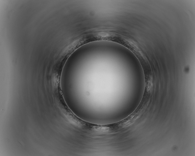 X0000091560476200708171329